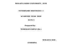 4_6019540641237697901.ppt